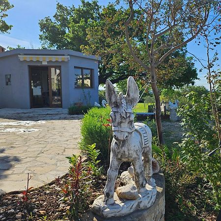 Villa Doci Zadar Exteriör bild