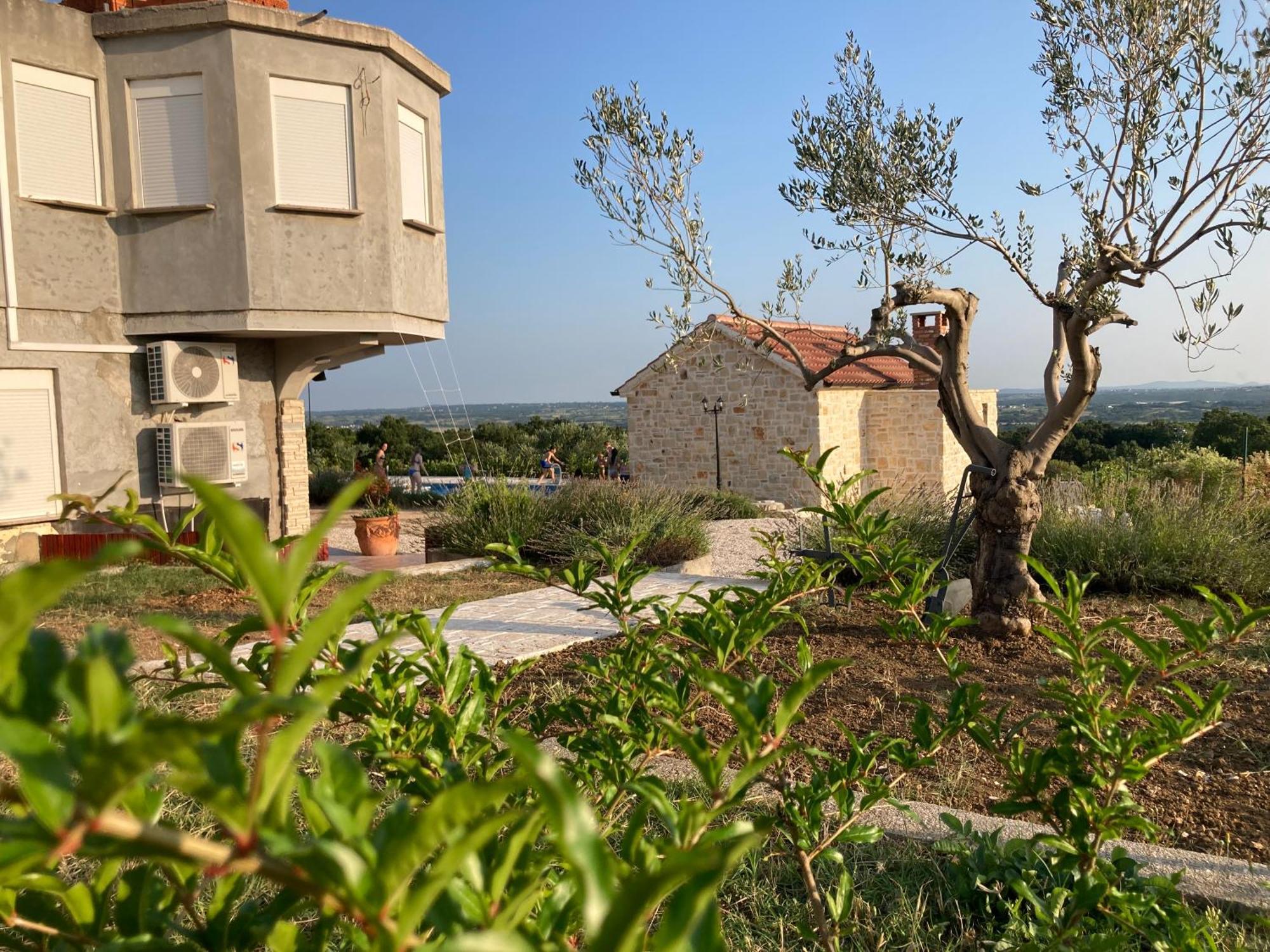 Villa Doci Zadar Exteriör bild