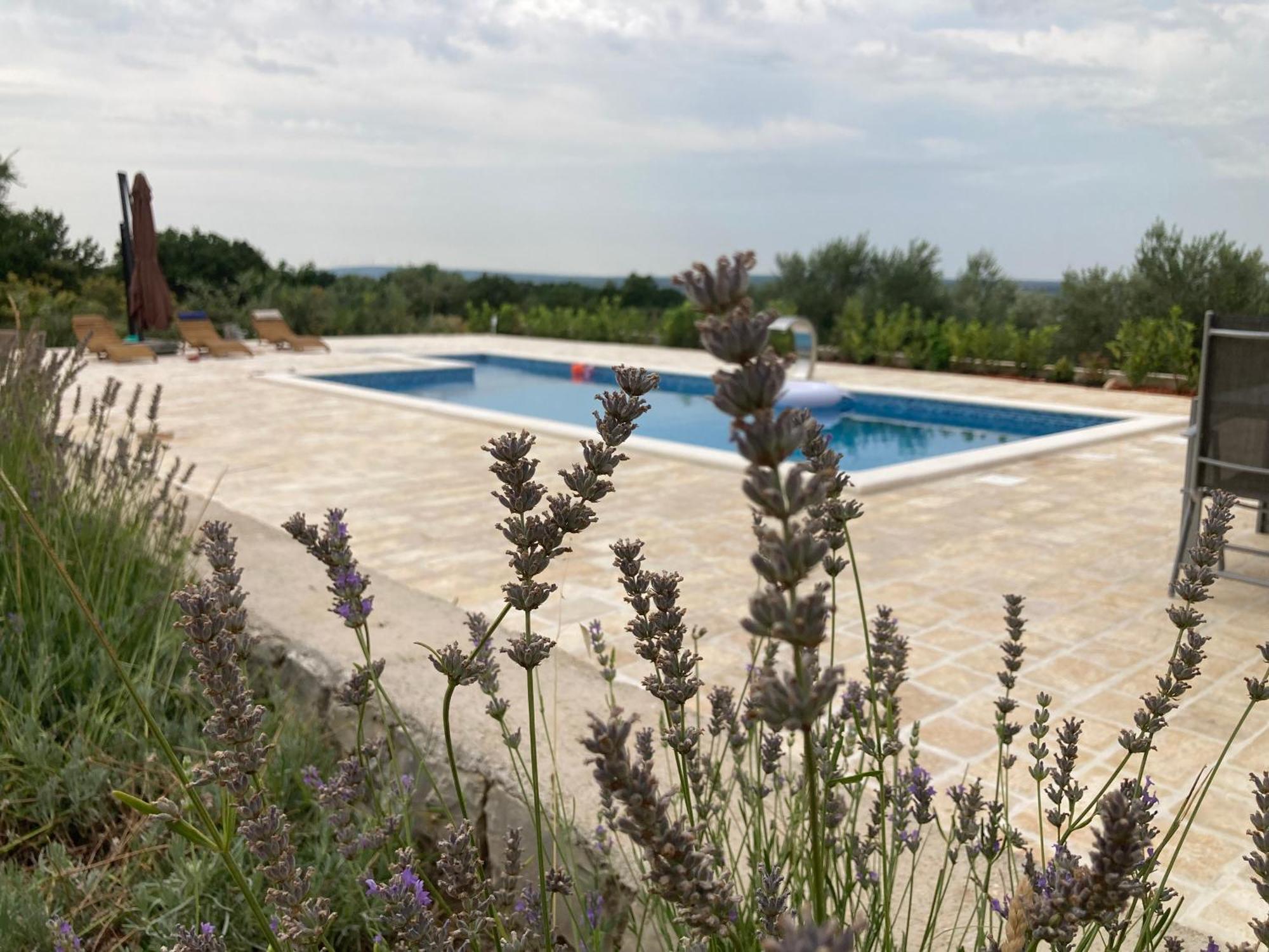 Villa Doci Zadar Exteriör bild